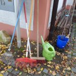 Arbeitseinsatz | Foto: Siegfried Adaschkiewitz