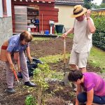 6 Hände im Einsatz (August 2019) | Foto: Siegfried Adaschkiewitz 6 Hände im Einsatz (August 2019) | Foto: Siegfried Adaschkiewitz