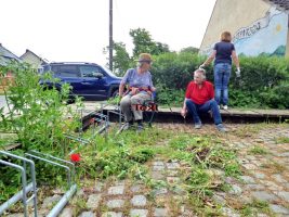 Verspäteter Frühjahrsputz (Juni 2021) | Foto: Siegfried Adaschkiewitz