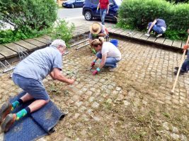 Verspäteter Frühjahrsputz (Juni 2021) | Foto: Siegfried Adaschkiewitz