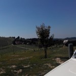 IMG_20150606_171351