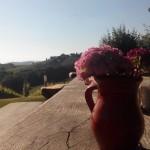 IMG_20150606_175732